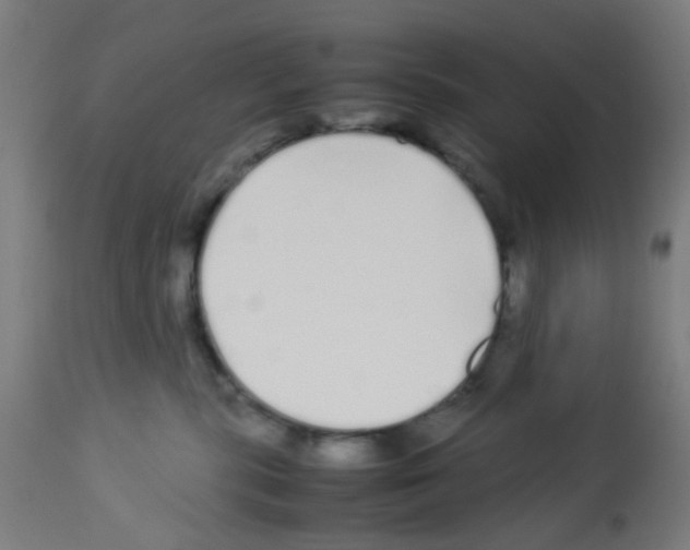 X0000113010283200910081229