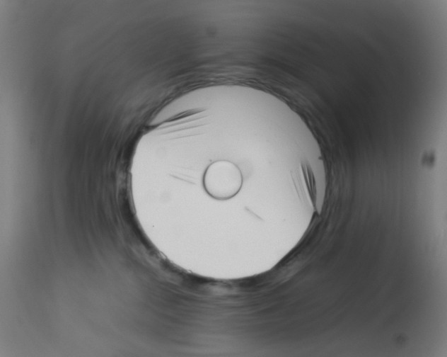 X0000113010284200910081229