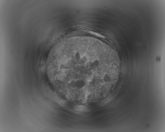 X0000113010285200910081229