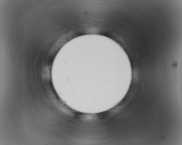 X0000113010286200910081229