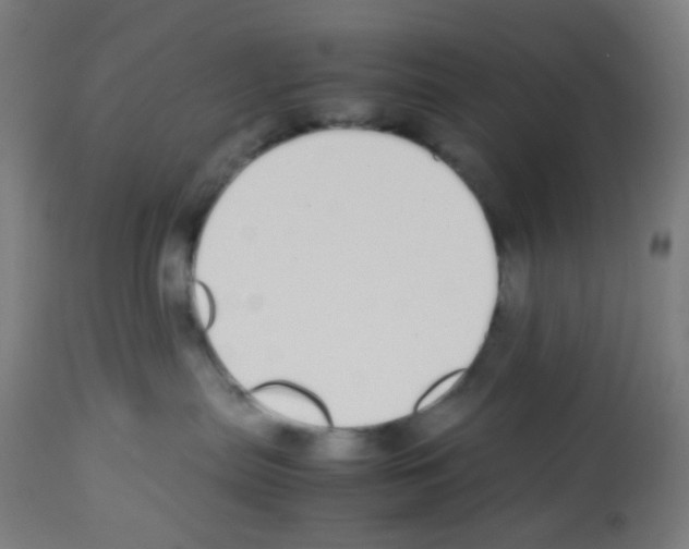 X0000113010287200910081229