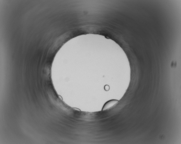 X0000113010288200910081230