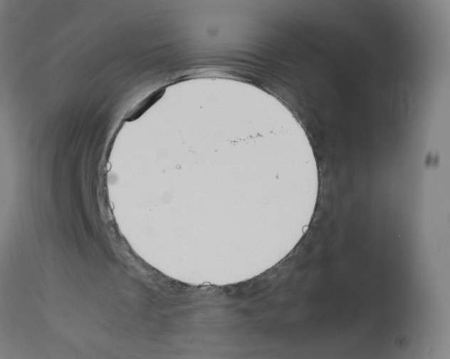 X0000113010289200910081229