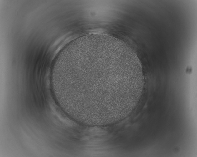 X0000113010290200910081229