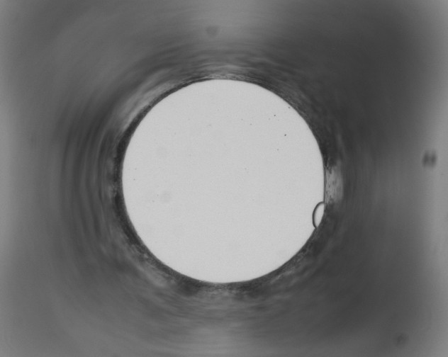 X0000113010291200910081229