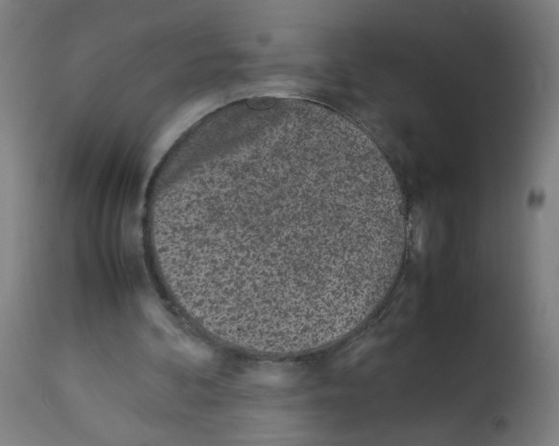 X0000113010292200910081229