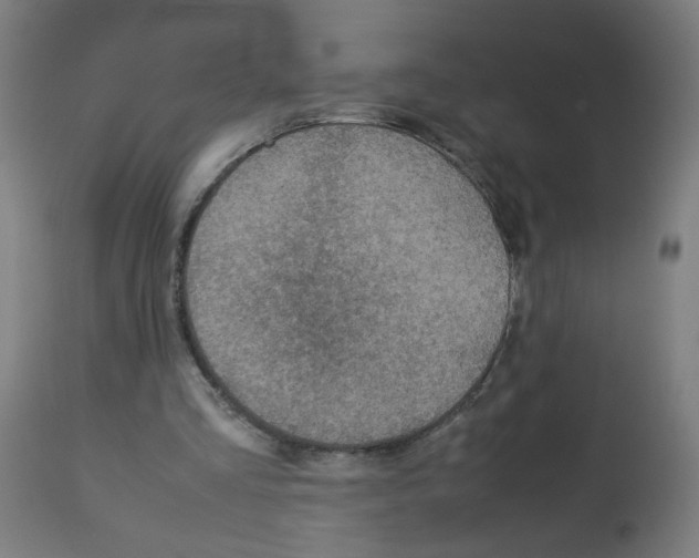 X0000113010293200910081229