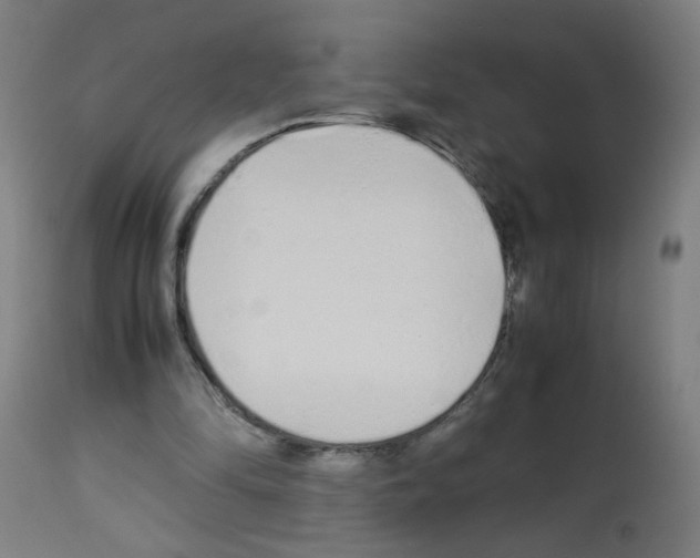 X0000113010294200910081229