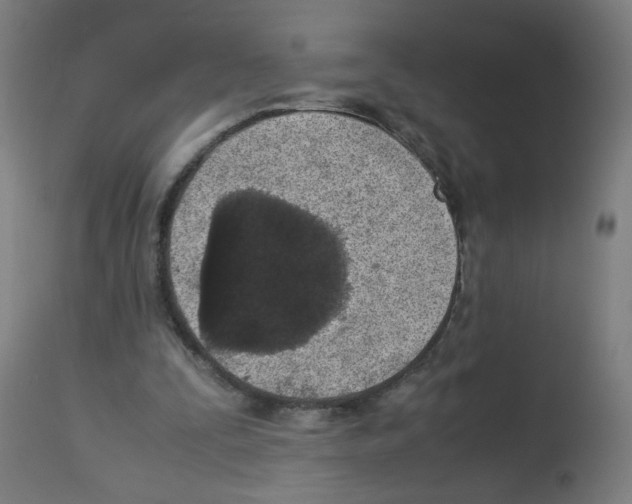 X0000113010295200910081229