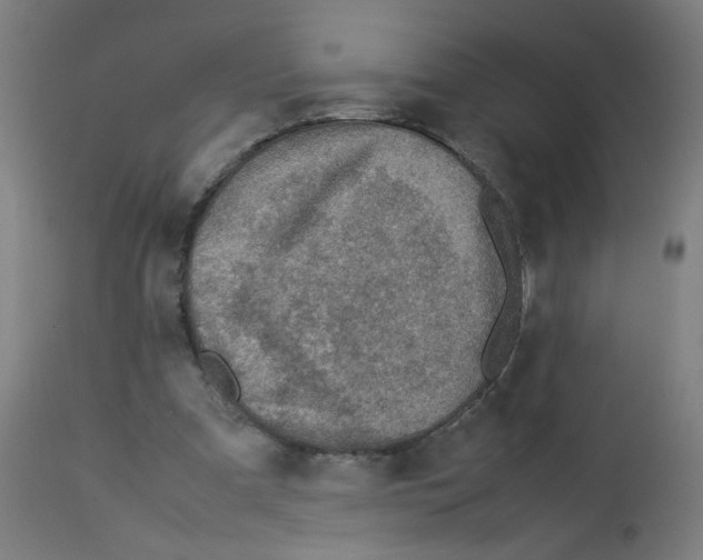 X0000113010297200910081229