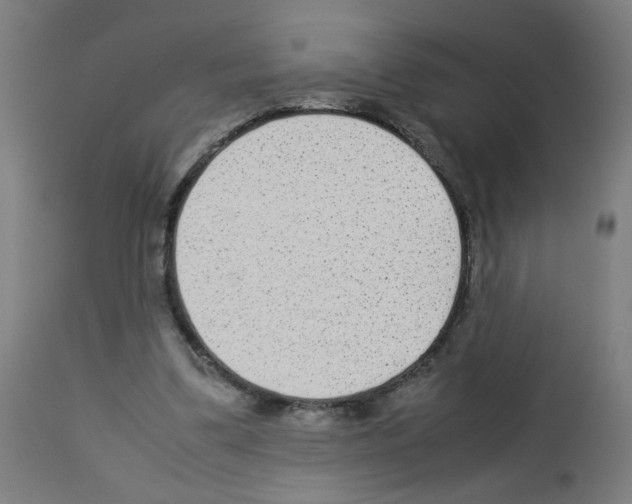 X0000113010299200910081229