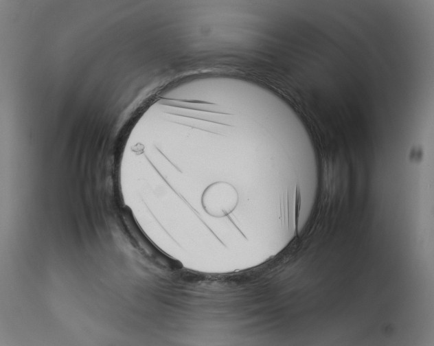 X0000113010300200910081229