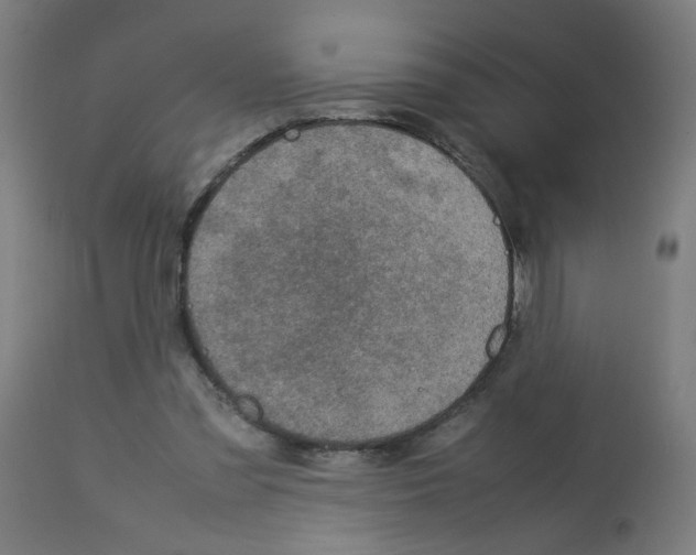 X0000113010301200910081229