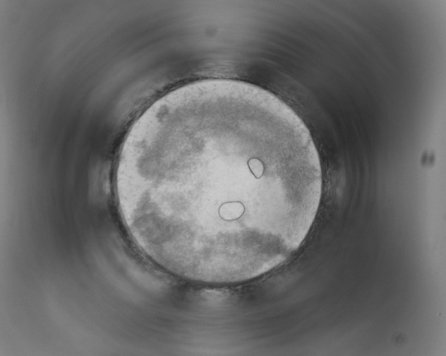 X0000113010302200910081228