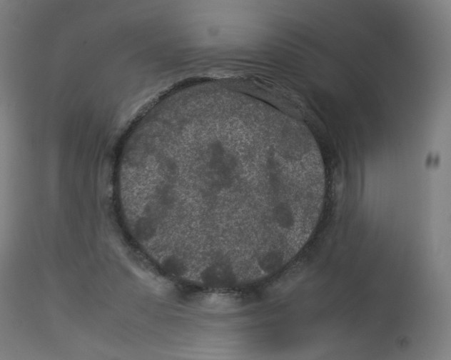 X0000113010303200910081228