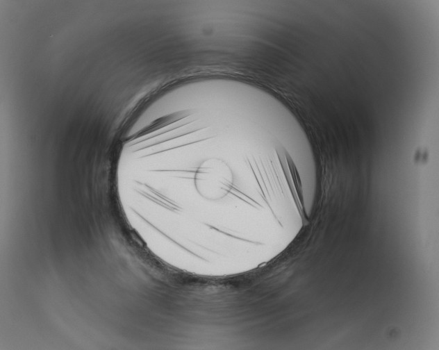 X0000113010304200910081228