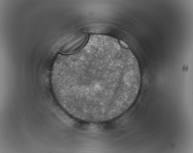 X0000113010305200910081228