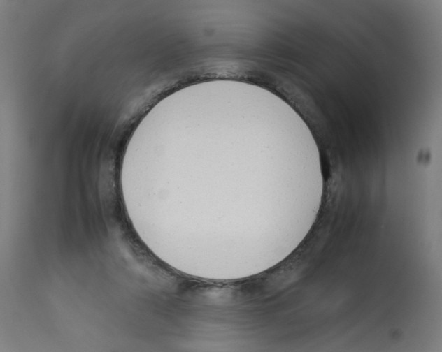 X0000113010306200910081228