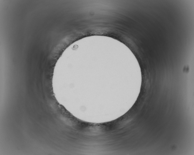 X0000113010307200910081228