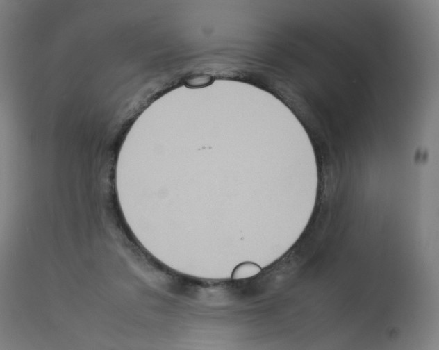 X0000113010309200910081228