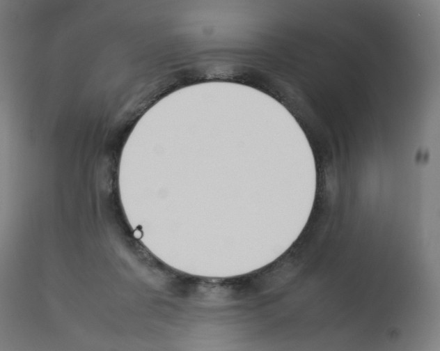 X0000113010311200910081228