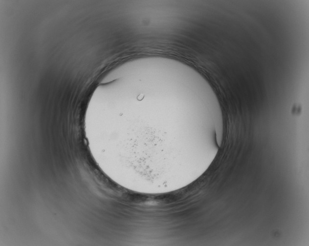 X0000113010312200910081228