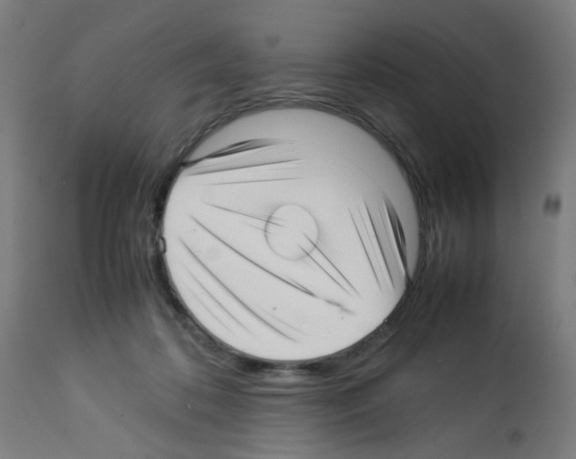 X0000113010316200910081228