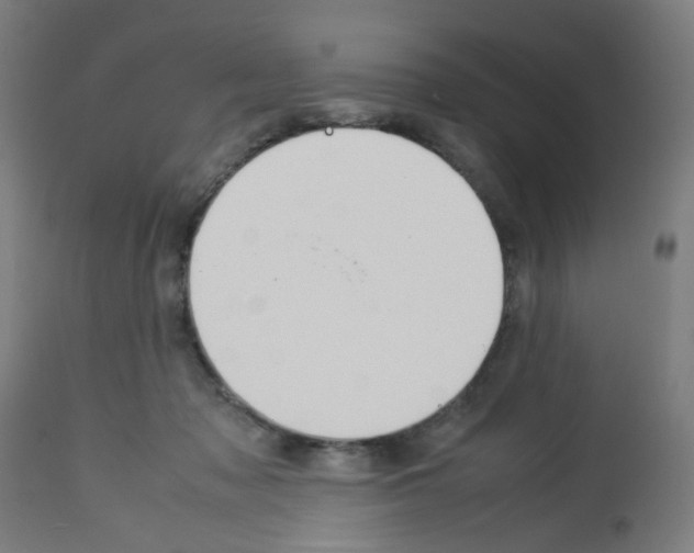 X0000113010317200910081228