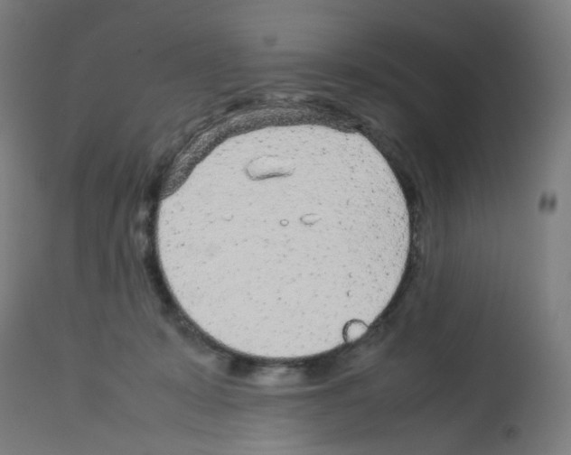 X0000113010319200910081228
