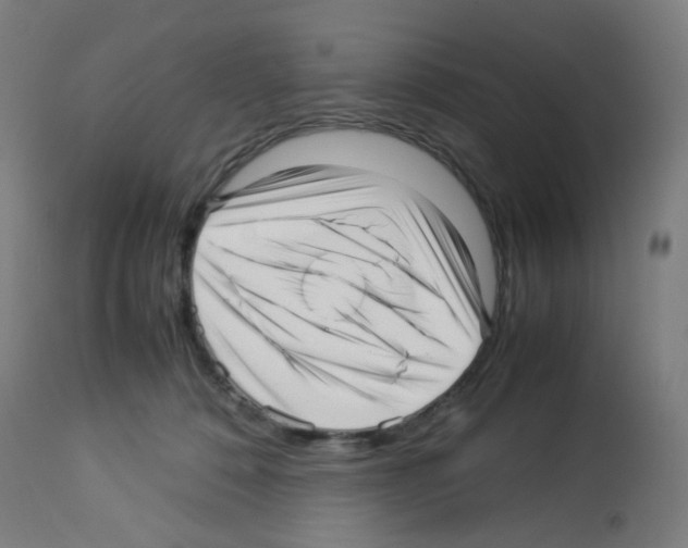 X0000113010320200910081228