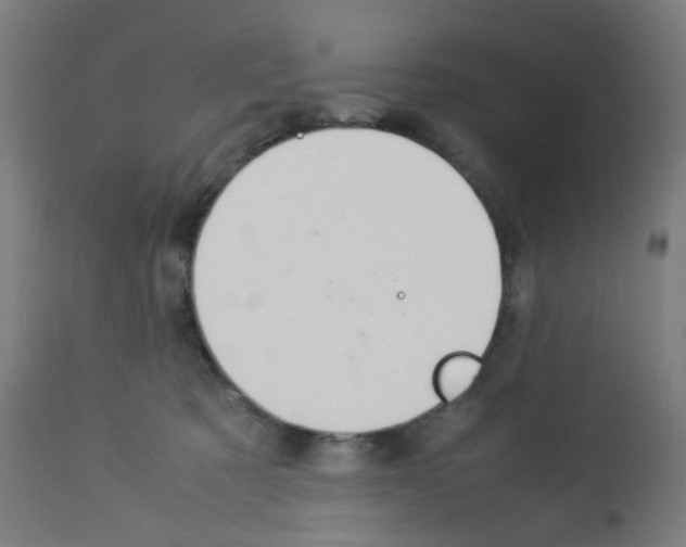 X0000113010321200910081228