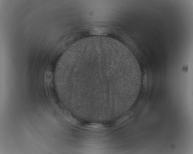 X0000113010322200910081228