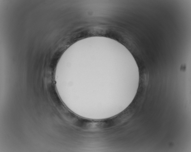 X0000113010323200910081228