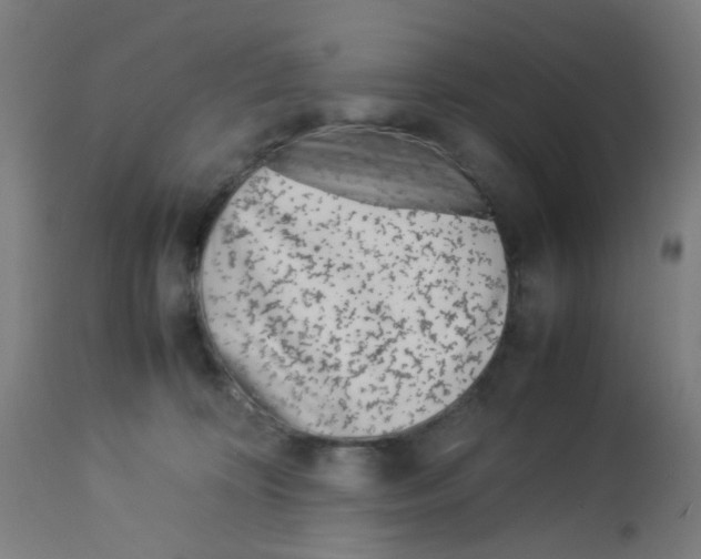 X0000113010324200910081228