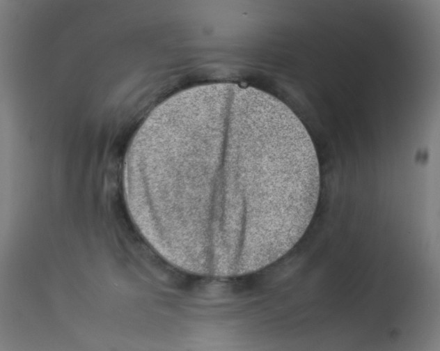 X0000113010325200910081228