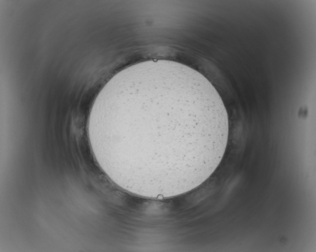 X0000113010326200910081228