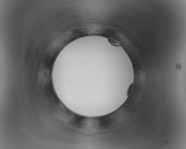 X0000113010327200910081228