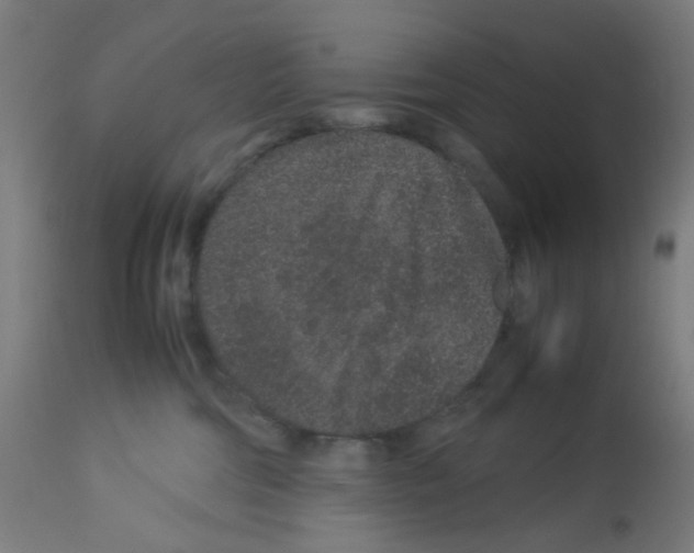X0000113010330200910081228