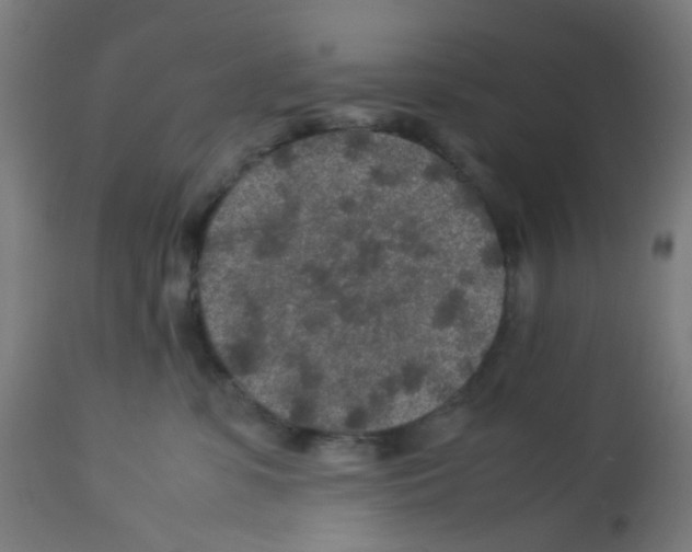 X0000113010331200910081228