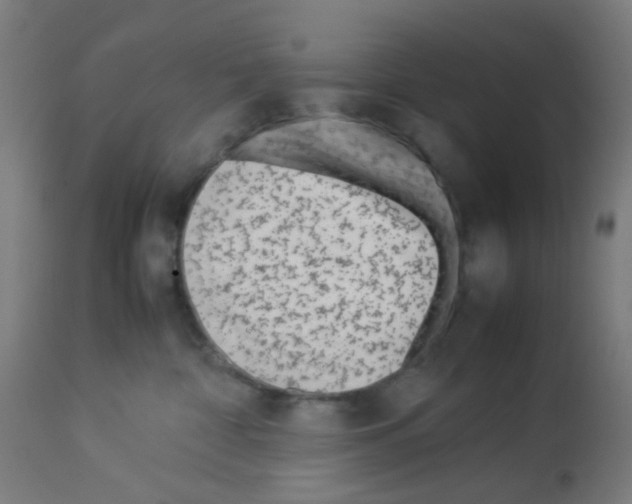 X0000113010332200910081228