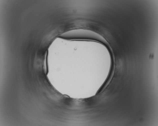 X0000113010333200910081228