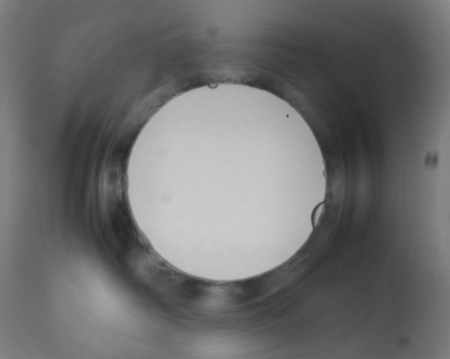 X0000113010334200910081228