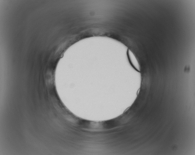 X0000113010335200910081228