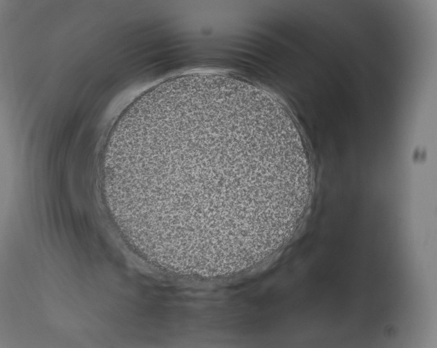 X0000113010337200910081227