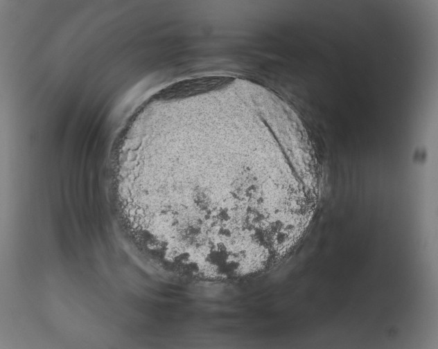 X0000113010339200910081227