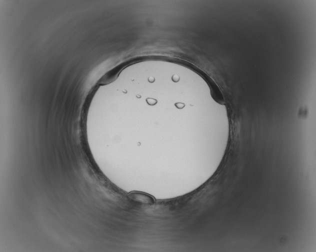 X0000113010340200910081227