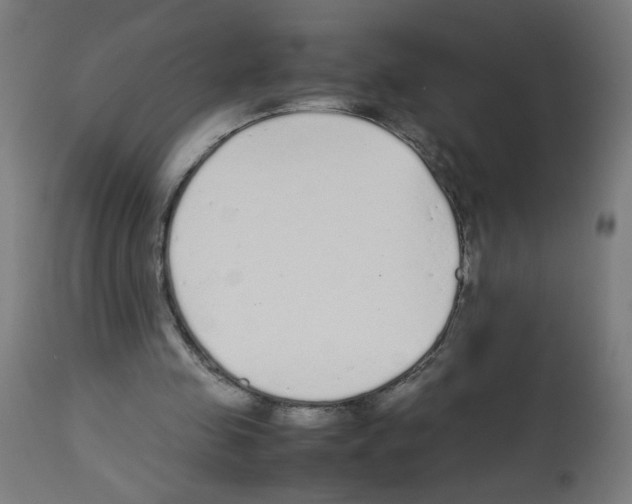 X0000113010341200910081227