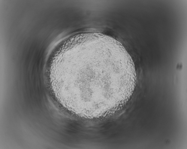 X0000113010343200910081227