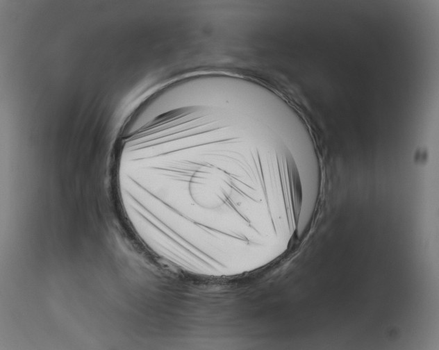 X0000113010344200910081227