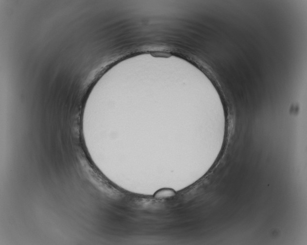 X0000113010345200910081227